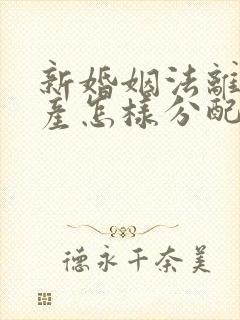 新婚姻法离婚财产怎样分配