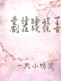 爱情睡醒了电视剧在线观看 爱情睡醒了电视剧在线观看
