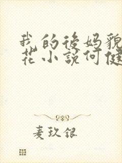 我的后妈貌美如花小说何健免费阅读