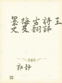 墨梅古诗王冕原文及翻译