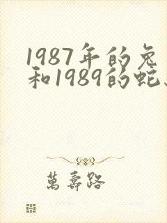 1987年的兔和1989的蛇结婚怎么样