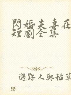 闪婚夫妻在八零短剧全集