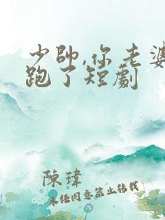 少帅,你老婆又跑了短剧