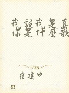 我说我是真的爱你是什么歌的歌词