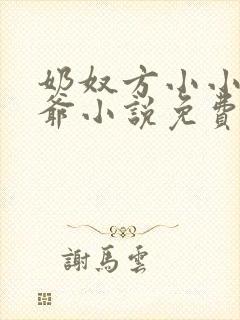 奶奴方小小钺王爷小说免费阅读