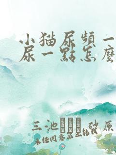 小猫尿频一次只尿一点怎么回事