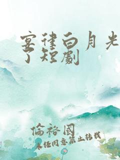 宴律白月光回国了短剧