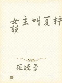 女主叫夏柠的小说