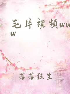 毛片视频wwww