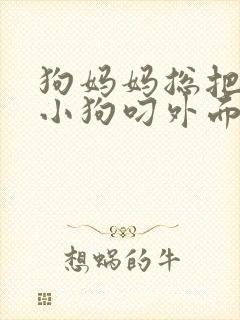 狗妈妈总把一只小狗叼外面怎么办