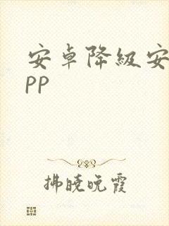 安卓降级安装app 安卓降级安装app