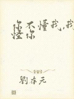 你不懂我,我不怪你