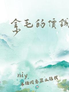 金毛的价钱是多少