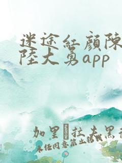 迷途红颜陈梦洁陆大勇app