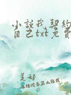 小说我契约了我自己txt免费下载 小说我契约了我自己txt免费下载
