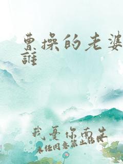 曹操的老婆都有谁