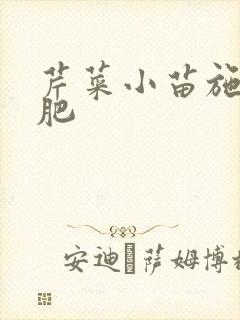 芹菜小苗施什么肥