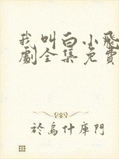 我叫白小飞电视剧全集免费观看