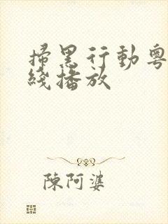 扫黑行动粤语在线播放