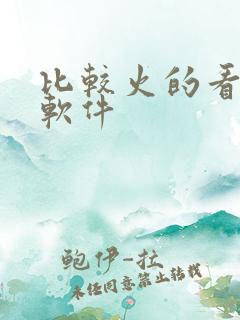 比较火的看小说软件