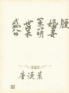 盛世军婚腹黑老公呆萌妻 盛世军婚腹黑老公呆萌妻