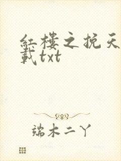 红楼之挽天倾下载txt