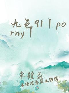 九色91丨porny丨