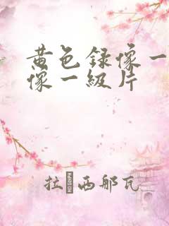 黄色录像一级录像一级片