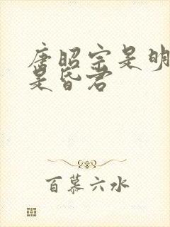唐昭宗是明君还是昏君