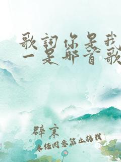 歌词你是我的唯一是哪首歌的歌词 歌词你是我的唯一是哪首歌的歌词