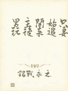 男主开始只是玩玩后来追妻火葬场