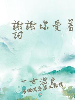 谢谢你爱着我歌词