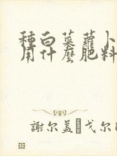 种白菜萝卜底肥用什么肥料