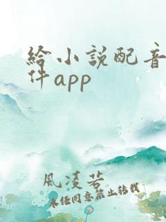 给小说配音的软件app 给小说配音的软件app