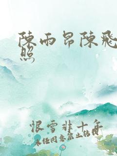 陈雨昂陈飞宇合照
