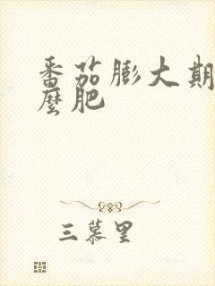 番茄膨大期用什么肥