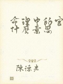 命理中的官命是什么意思