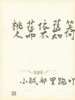 桃花依旧笑春风人面不知何处去