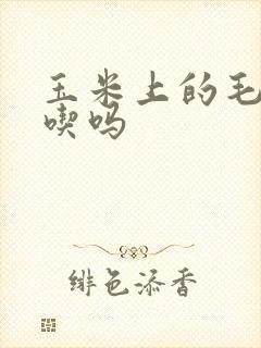 玉米上的毛毛能吃吗