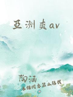 亚洲爽av