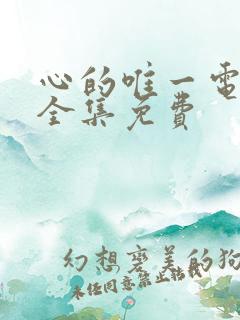 心的唯一电视剧全集免费