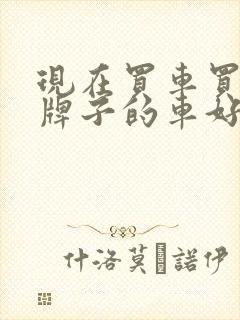 现在买车买什么牌子的车好
