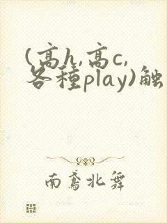 (高h,高c,各种play)触手