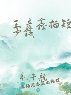 王彦鑫拍短剧多少钱