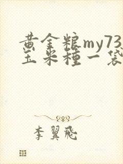 黄金粮my73玉米种一袋多少粒