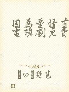 因为爱情有幸福电视剧免费观看西瓜