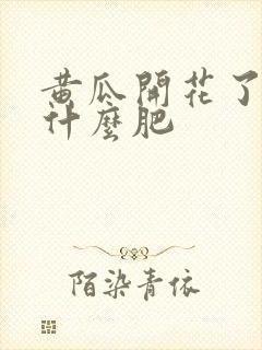 黄瓜开花了要施什么肥