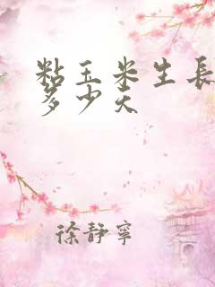 粘玉米生长期是多少天