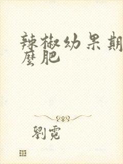 辣椒幼果期施什么肥