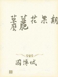 草莓花果期用什么肥